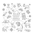 line wildlife concept with different desert vector image