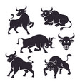 black stylized ox silhouettes big set vector image