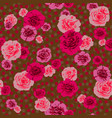flowers and dots print vector image vector image
