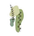 modern plant elements background vector image vector image
