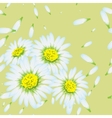 chamomiles seamless flowers pattern vector image vector image