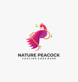 logo peacock color gradient colorful style vector image vector image