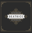 ornament logo design template flourishes vector image