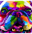 close up of french bulldog vector image