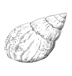 Hand drawing seashells set 1 Royalty Free Vector Image