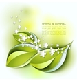 spring abstract background green leaves vector image vector image