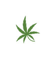 cannabis marijuana hemp leaf logo vector image