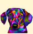 colorful daschund on pop art vector image