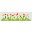 spring blossom border vector image