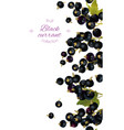 cherry vertical banner vector image vector image