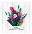 hello spring greeting card vector image