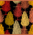 seamless pattern of silhouettes drawn birch trees vector image vector image