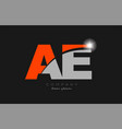 combination letter ae a e in grey orange color vector image vector image