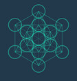 Metatrons cube flower of life sacred geometric Vector Image