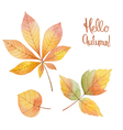 watercolor autumn leaves vector image