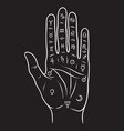 palmistry or chiromancy hand vector image vector image