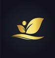 leaf beauty organic gold logo vector image