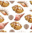 seashell and conches sea and ocean seamless vector image vector image