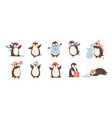 bundle of adorable penguins wearing winter vector image