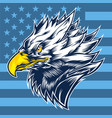 head eagle usa logo mscot usa vector image