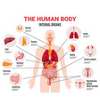 Human body organ systems poster Royalty Free Vector Image