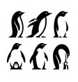set of penguins logos in different positions vector image