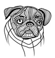 dog pug head vector image vector image