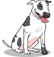 bull terrier dog cartoon vector image