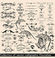 collection or set of vintage flourishes vector image vector image