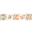 peach fruit leaf and flowers on botanical pattern vector image