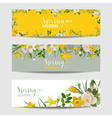 spring flower banner set vector image