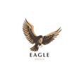 flying eagle vector image vector image