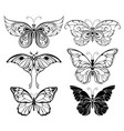 set of art butterflies vector image vector image