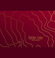 luxury red background with golden contour lines vector image