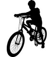 school boy on his bicycle - artwork vector image vector image