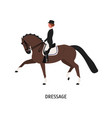 dressage horseback riding flat vector image