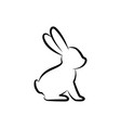 hare symbol rabbit sign icon vector image