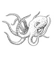 octopus ink hand drawn vintage vector image