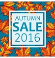 autumn sale seasonal vector image vector image
