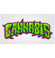 cannabis hand lettering font smoke effect vector image vector image