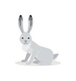 icon of white snowshoe hare isolated forest vector image vector image