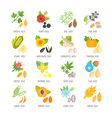 set flat icons of seeds vector image