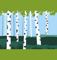 birch trees in park or valley nature landscape vector image