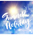 summer holiday lettering poster vector image