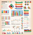 vintage infographic elements vector image