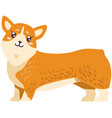 pembroke welsh corgi cartoon kawaii vector image