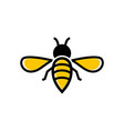bee icon design template isolated vector image vector image
