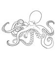octopus with high details vector image