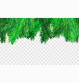 stock christmas tree branches vector image