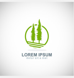 pine tree icon logo vector image